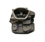 LIFAN 12100/192F-192F-2 -  -     