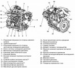   YANMAR 4TNV86CT (35.5  / 48 .. / 2400 . - 44  / 60 .. / 3000 .) -  -     